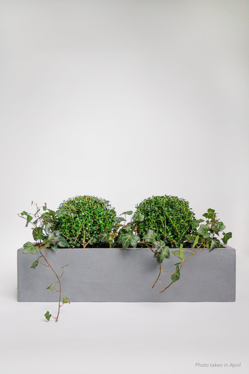 products/SotoProductShootLowQ-2036.jpg